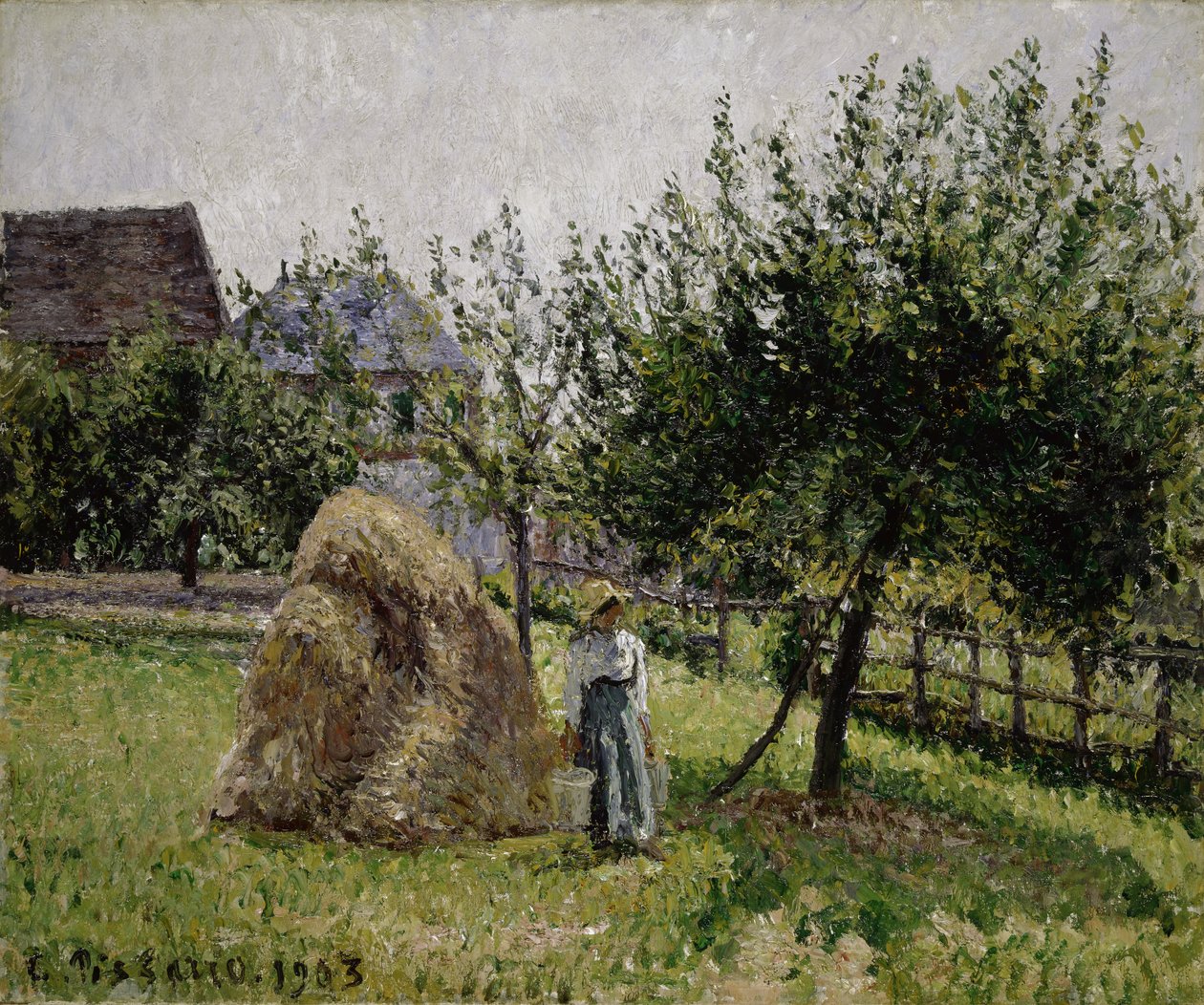 Macieiras em Eragny, manhã ensolarada, 1903 de Camille Jacob Pissarro