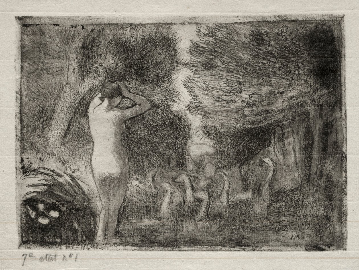 Banhista e gansos, 1895. de Camille Jacob Pissarro