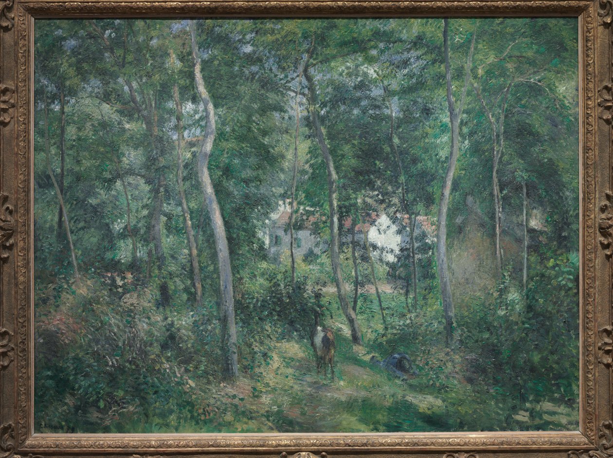 Borda da floresta perto de L&39;Hermitage, Pontoise, 1879 de Camille Jacob Pissarro