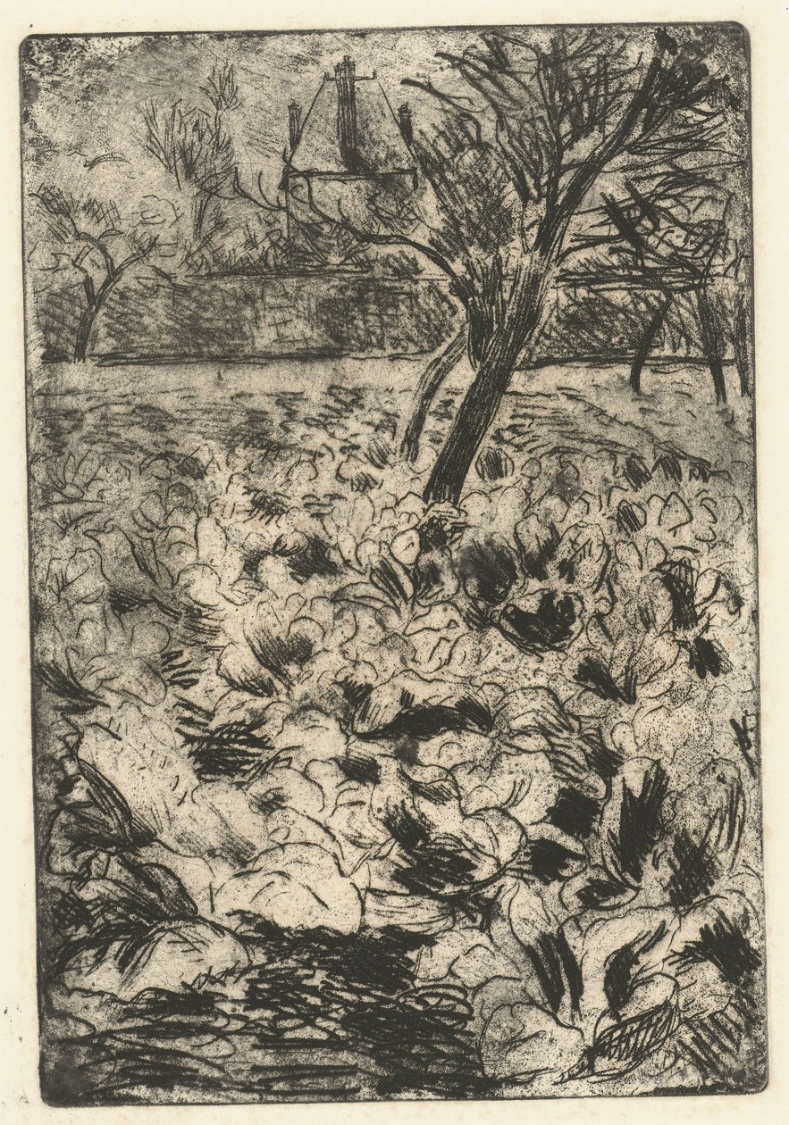 O campo dos tubérculos
Le champ de choix de Camille Jacob Pissarro