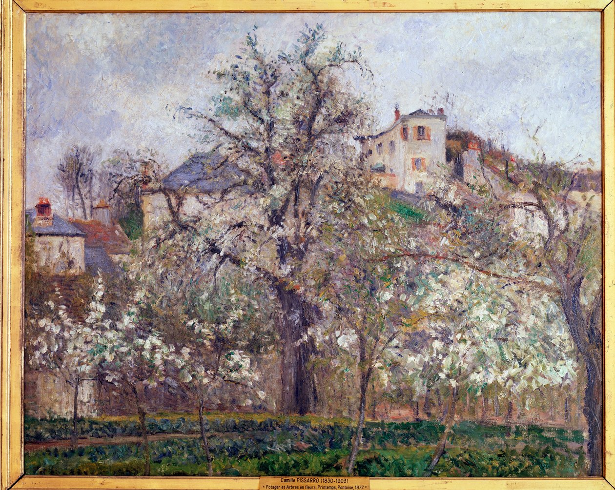 Mola, flores de ameixa em Pontoise - óleo sobre tela de Camille Jacob Pissarro