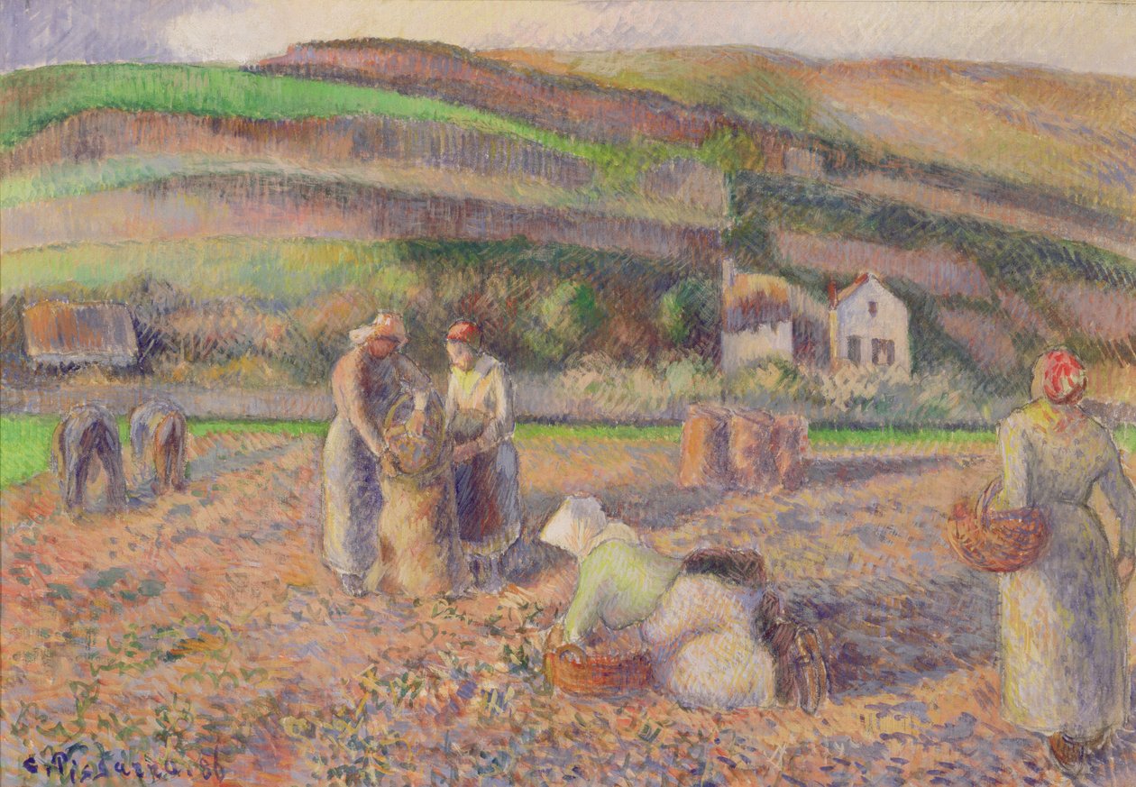A colheita da batata, 1886 de Camille Jacob Pissarro