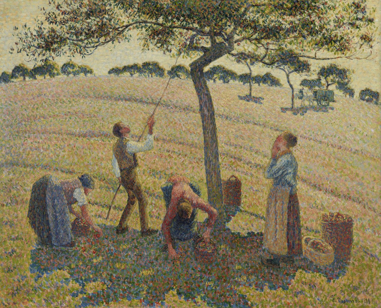 Colheita de maçã de Camille Jacob Pissarro