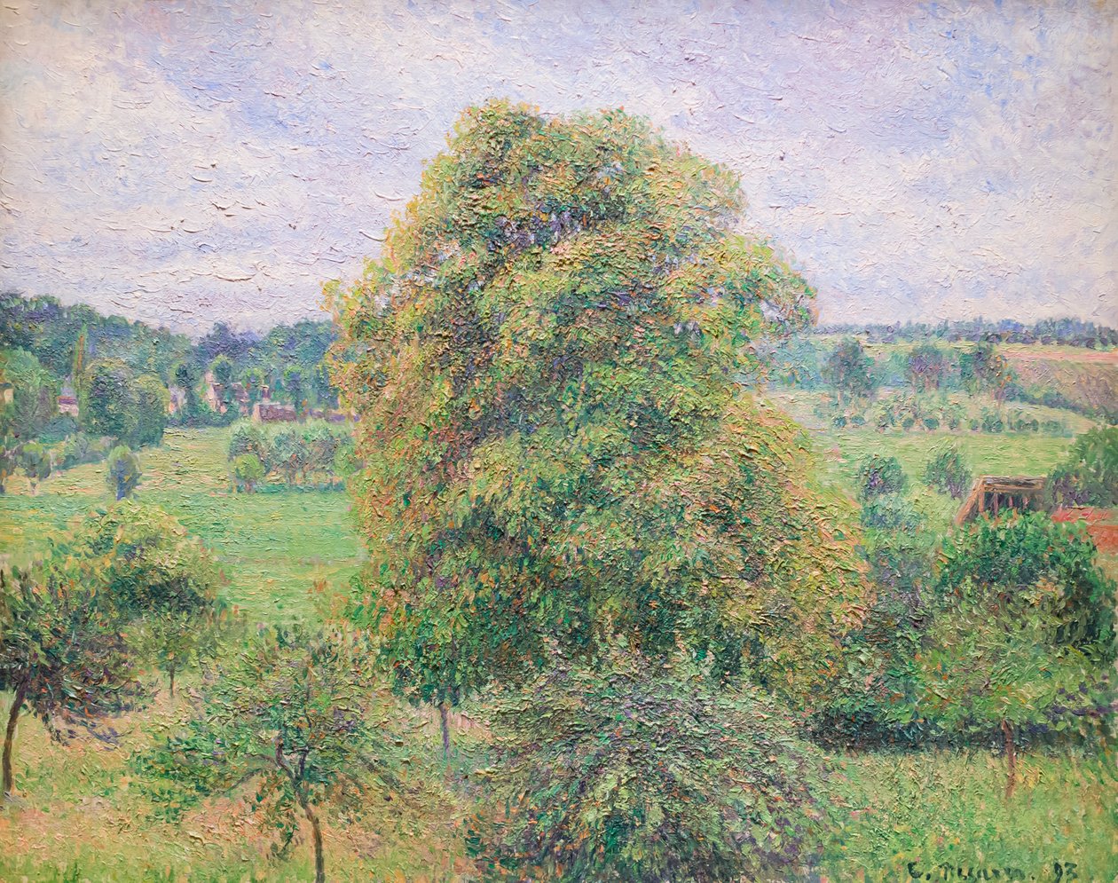 Nogueira grande em Eragny de Camille Pissarro