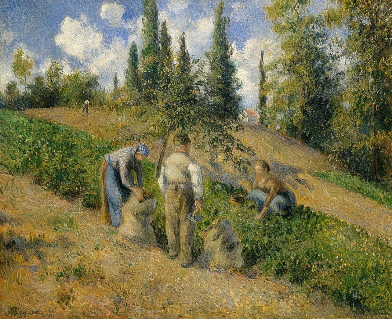 Die Ernte, Pontoise. - La Récolte, Pontoise, 1881 de Camille Jacob Pissarro