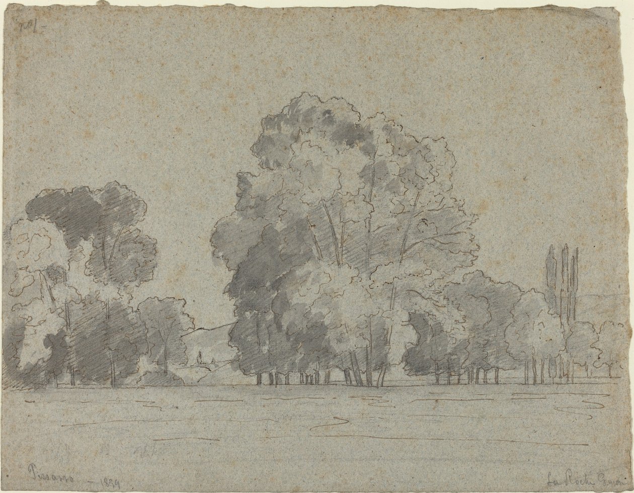 Bosque das Árvores de Camille Pissarro