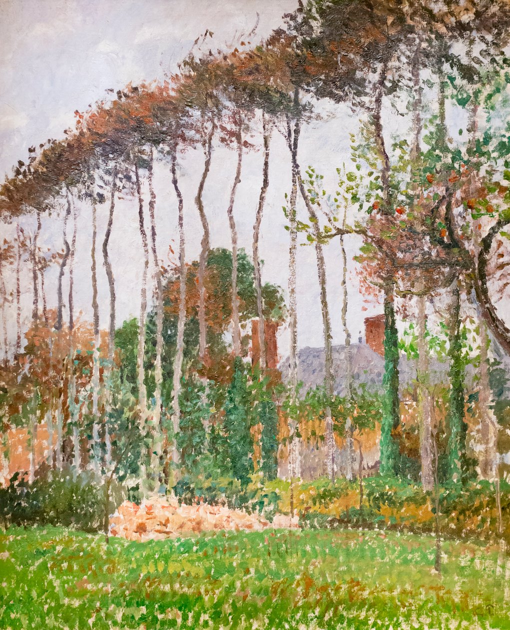 Paisagem em Varengeville, c. 1889 (óleo sobre tela) de Camille Pissarro