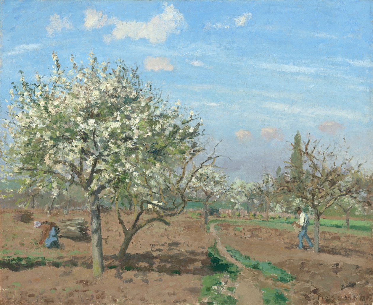 Pomar em flor, Louveciennes de Camille Pissarro