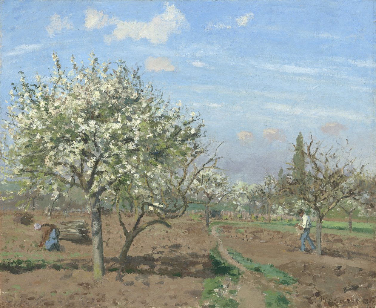 Pomar em Bloom, Louveciennes de Camille Jacob Pissarro