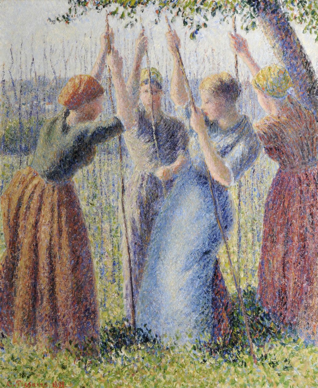 Mulheres camponesas a plantar ramos de Camille Pissarro