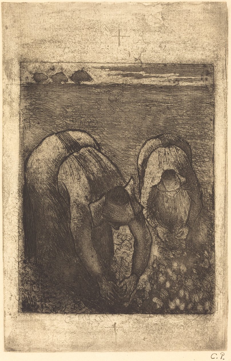 Camponeses em um Campo de Feijões Camponeses em um Campo de Feijões, 1891. de Camille Pissarro