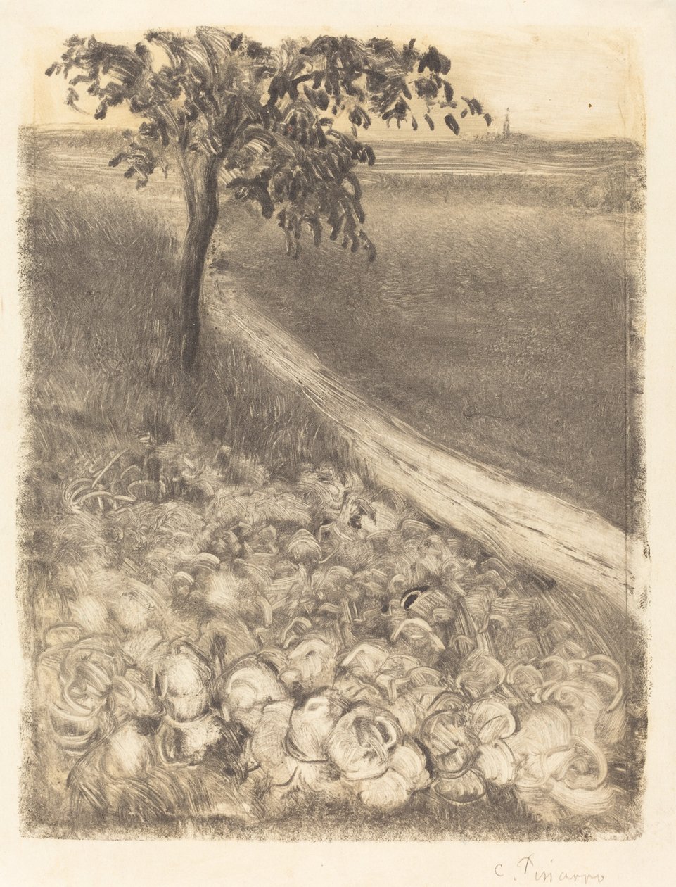 Estrada por um campo de repolhos de Camille Pissarro
