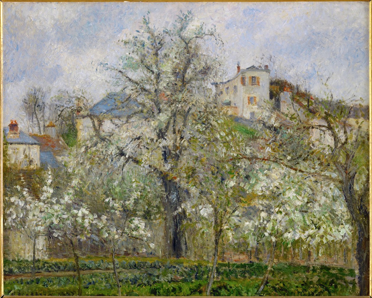 primavera, Flores de pera (óleo sobre tela) de Camille Pissarro