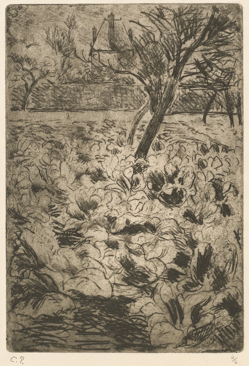 O campo do repolho de Camille Pissarro