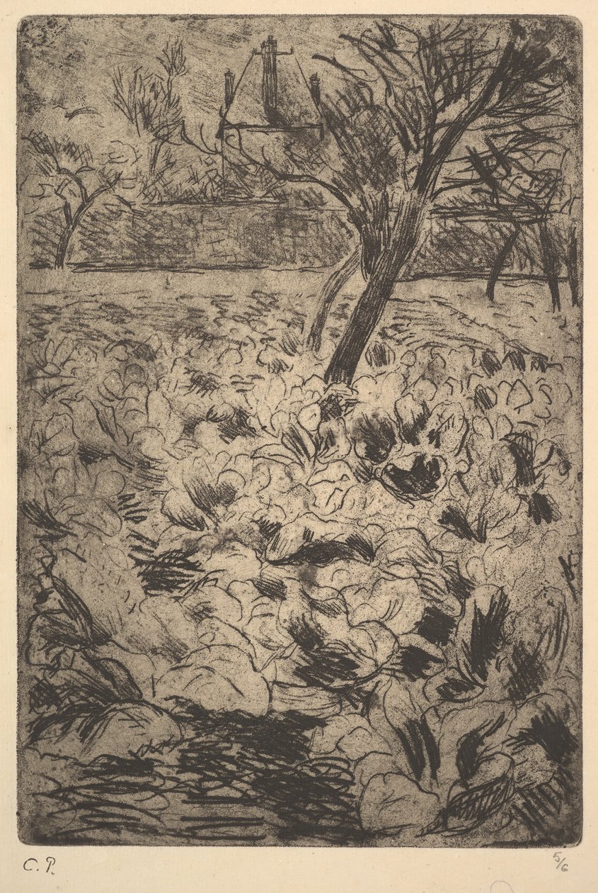 O Campo de Repolho, ca. 1880 de Camille Jacob Pissarro