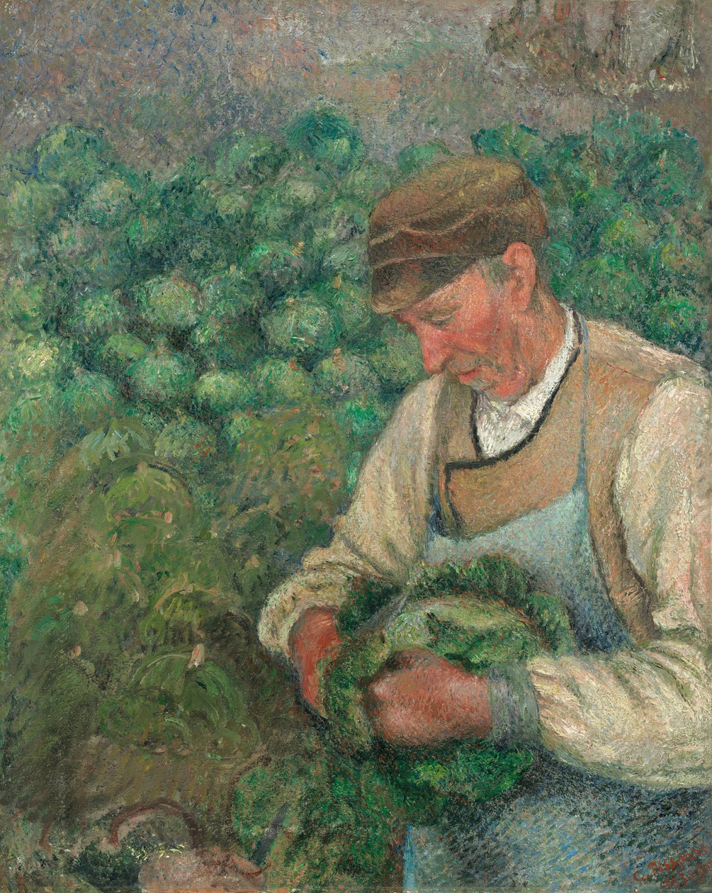 O Jardineiro - Velho Camponês com Repolho de Camille Pissarro