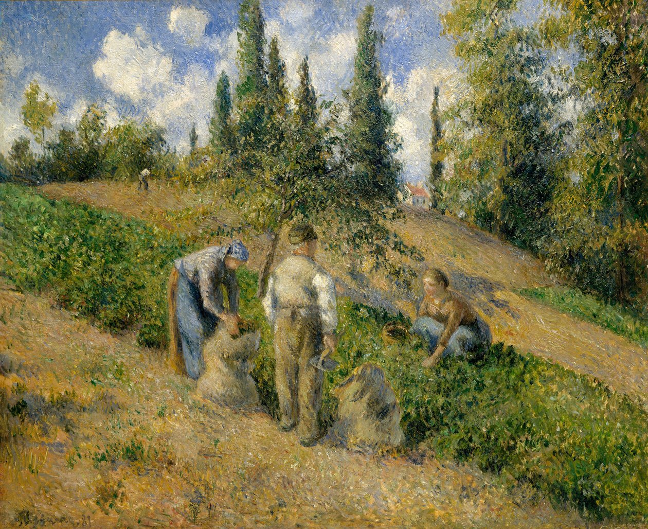 The Harvest, Pontoise de Camille Jacob Pissarro