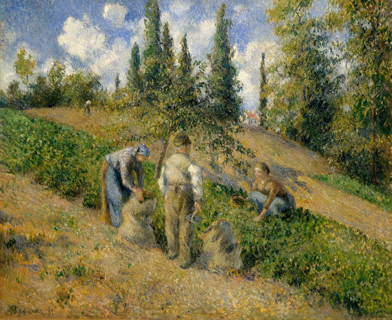 A colheita, Pontoise La Récolte, Pontoise, 1881. de Camille Jacob Pissarro