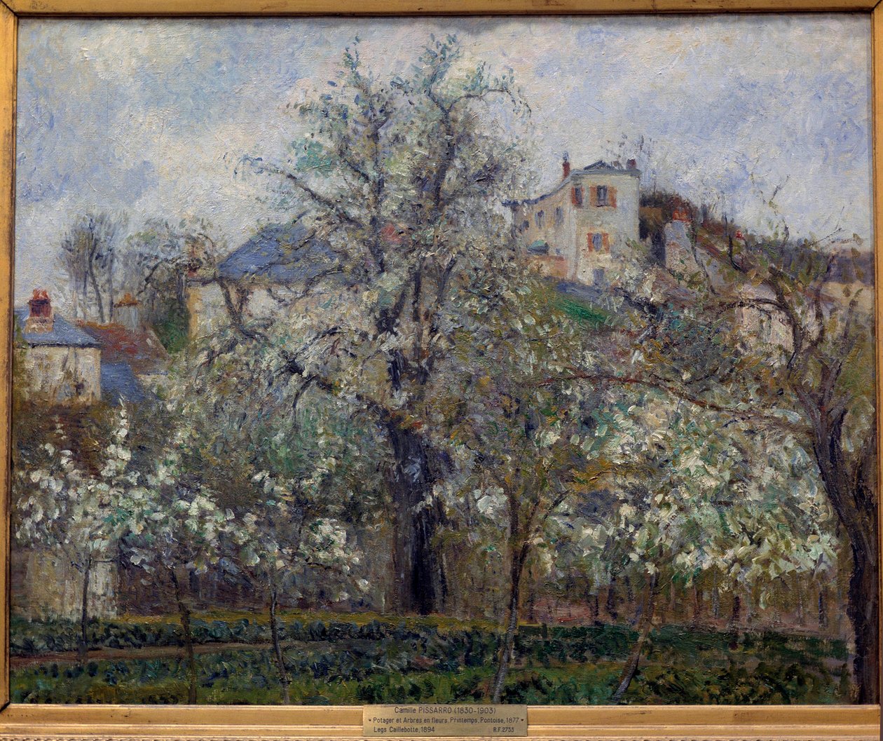 Jardim e árvores em flor na primavera em Pontoise (ameixeira em flor) Pintura de Camille Pissarro (1830-1903). 1877. Dim. 0,65 x 0,81 m. Paris, Musee d