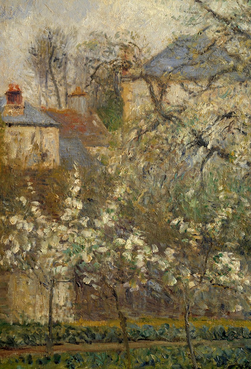 Horta e árvores em flor na primavera em Pontoise de Camille Jacob Pissarro