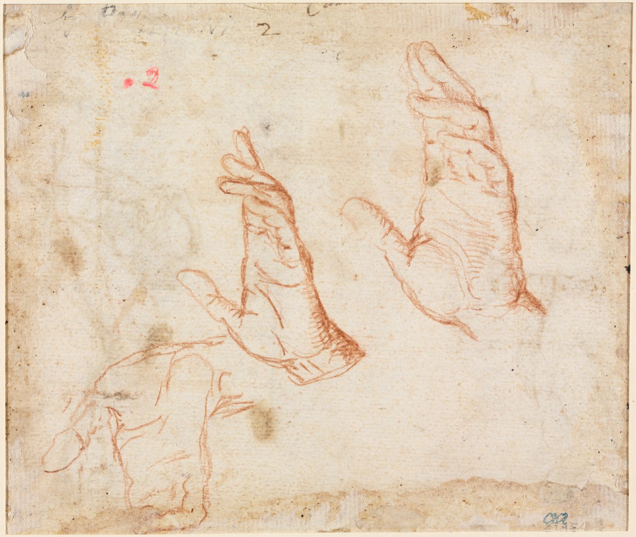 Estudo das mãos (verso) de Camillo Procaccini