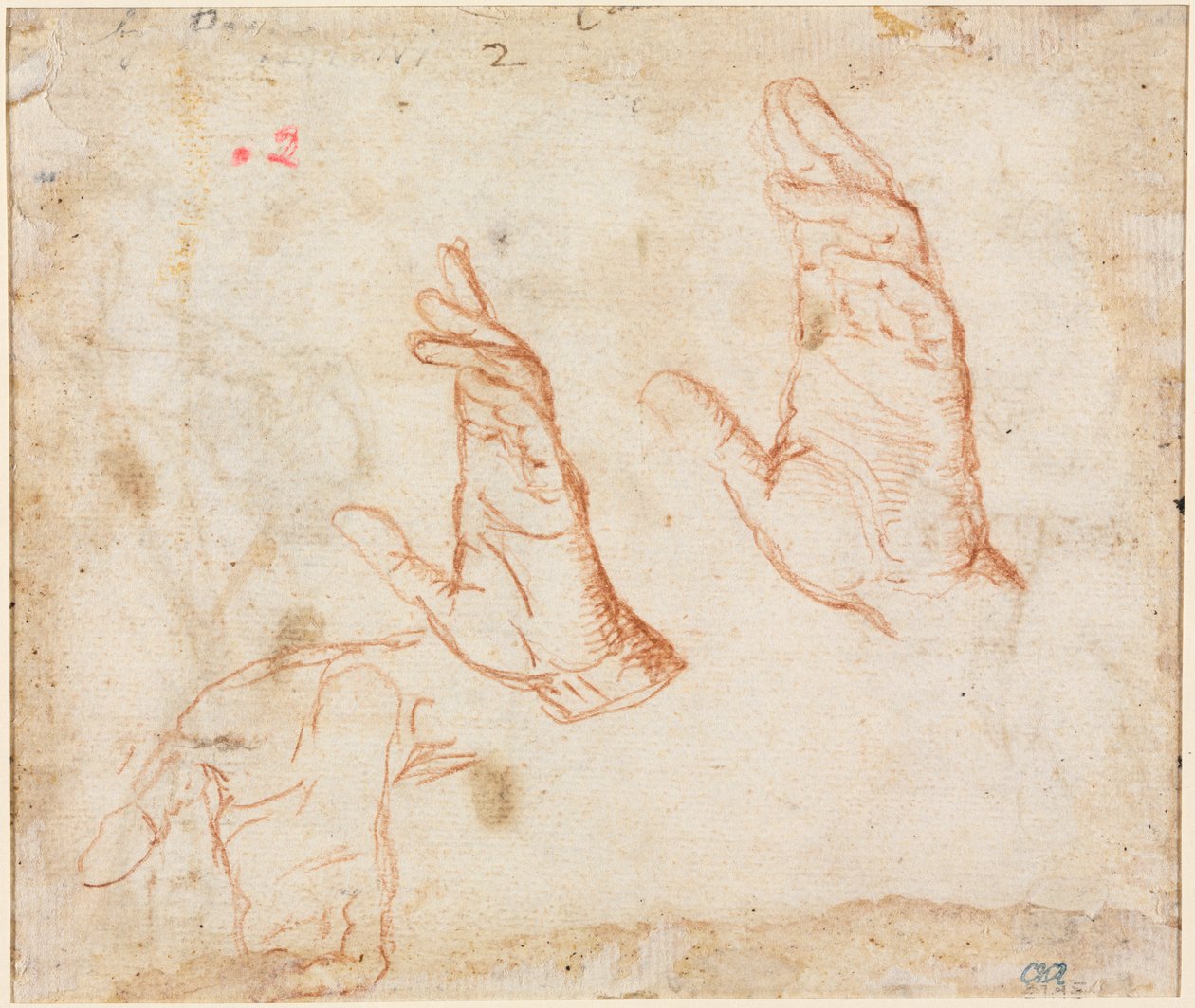 Estudo das mãos verso, c. 1590 de Camillo Procaccini