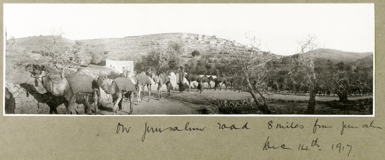 Na estrada de Jerusalém, a 8 milhas de Jerusalém, 14 de dezembro de 1917 de Capt. Arthur Rhodes