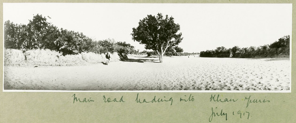 A estrada principal que leva a Khan Yunis, julho de 1917 de Capt. Arthur Rhodes