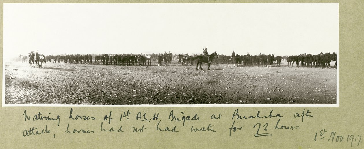 Cavalos de rega da 1ª Brigada ALH em Beersheba após o ataque, os cavalos não tinham água durante 72 horas, 1 de novembro de 1917 de Capt. Arthur Rhodes