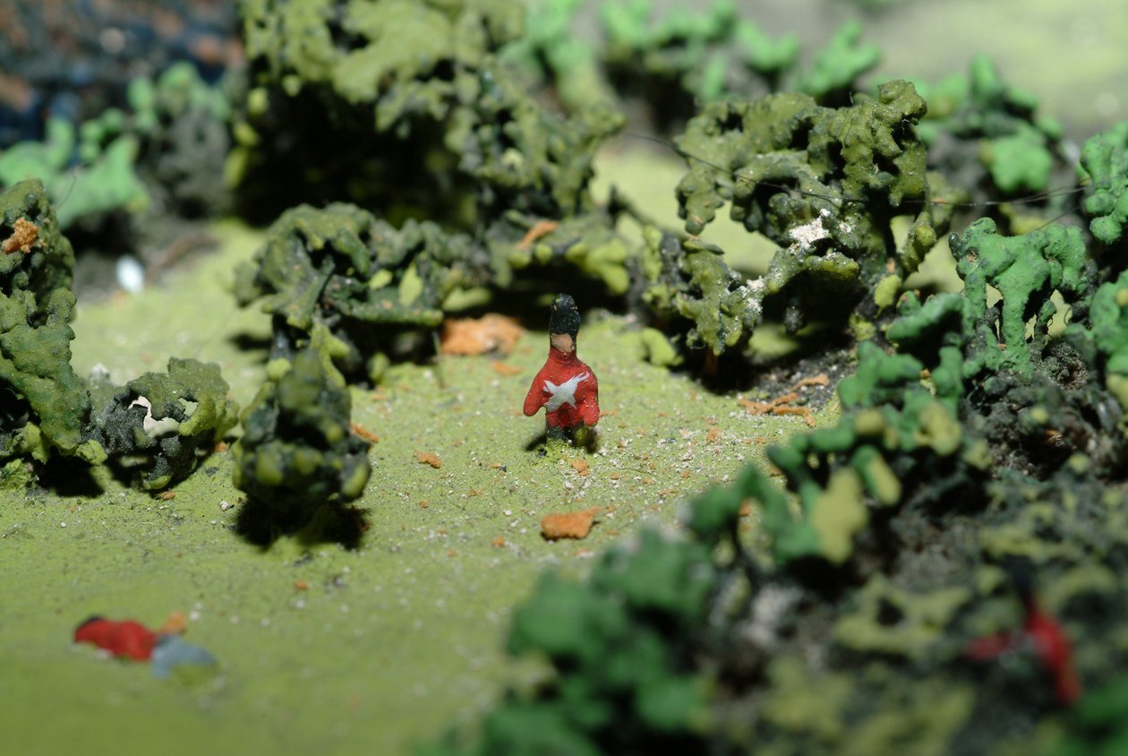 Diorama da Batalha de Waterloo mostrando as tropas posicionadas às 19h45 do dia 18 de junho de 1815 (mídia mista) (detalhe) de Capt. William Siborne