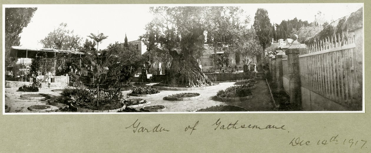 Jardim do Getsêmani, 14 de dezembro de 1917 de Capt. Arthur Rhodes
