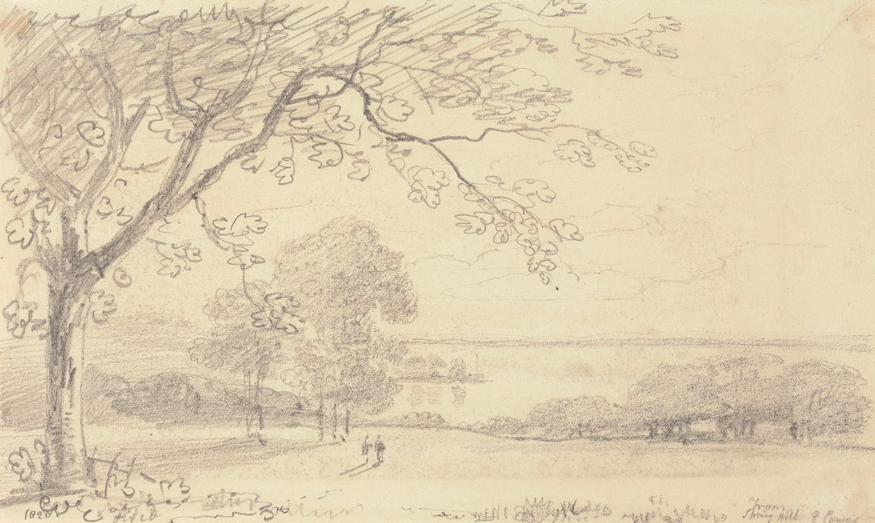 Vacas Orientais de Spring Hill, Ilha de Wight de Capt. Thomas Hastings
