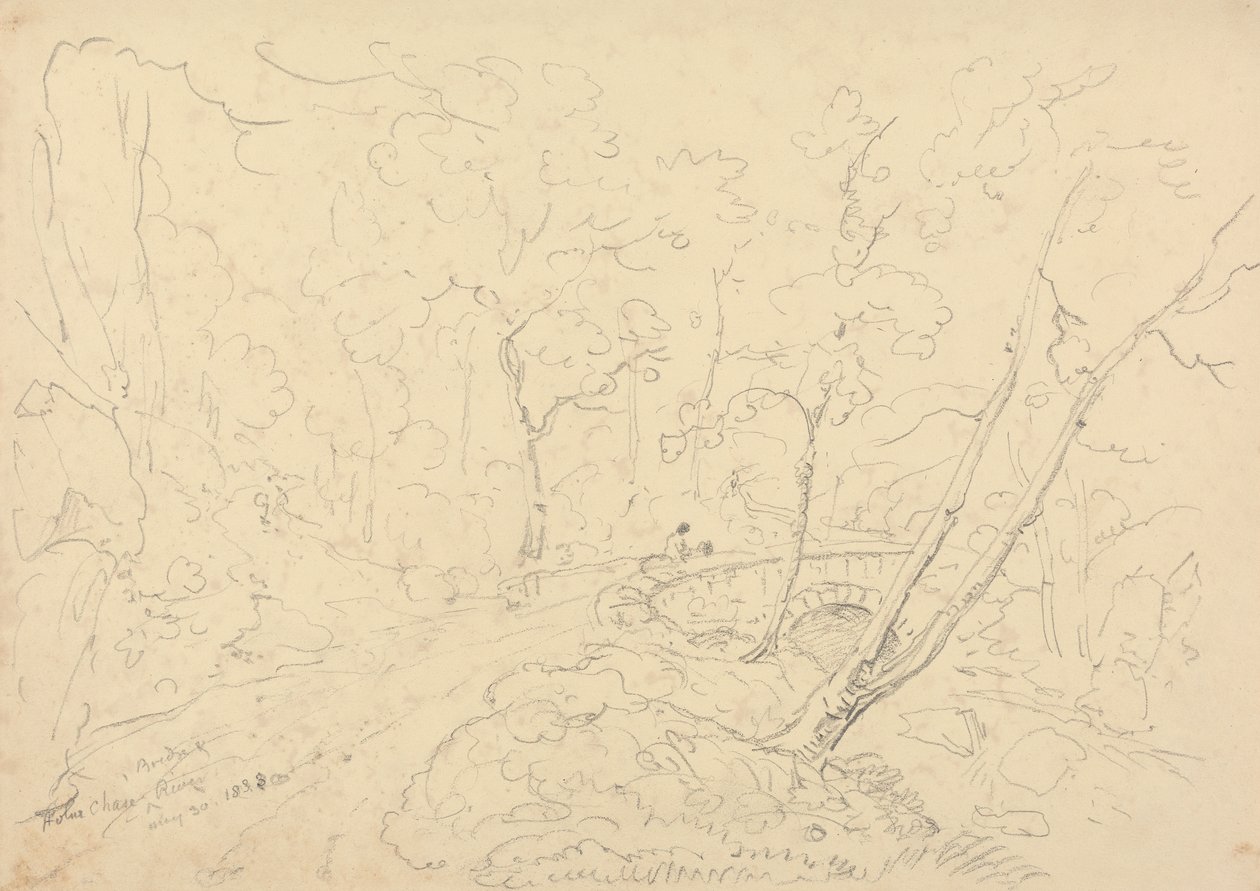 Ponte e Rio Holne Chase, 30 de Maio de 1833 de Capt. Thomas Hastings
