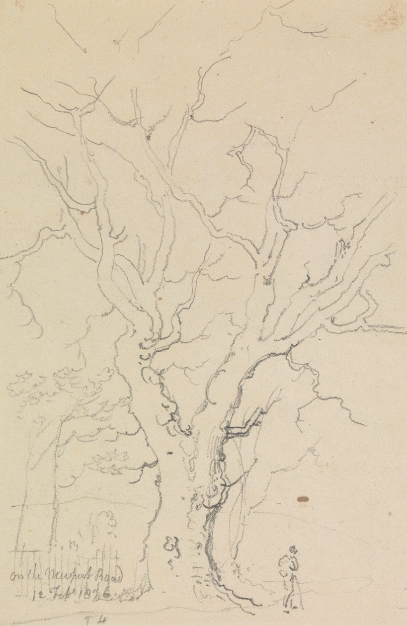 Na Newport Road, 12 de Fevereiro de 1826 de Capt. Thomas Hastings