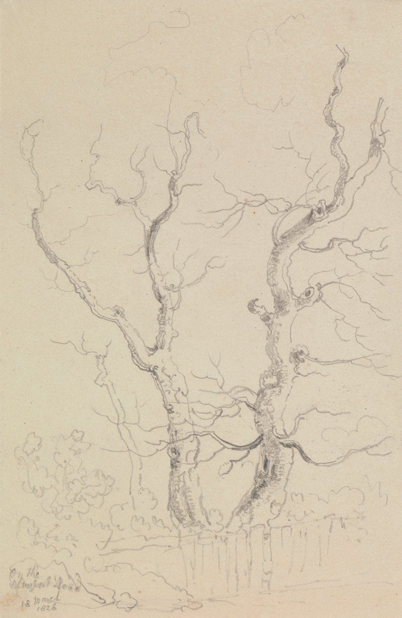 Na estrada de Newport, Ilha de Wight de Capt. Thomas Hastings