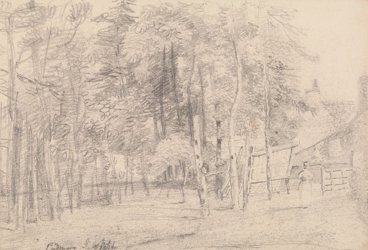 Padmore, Ilha de Wight de Capt. Thomas Hastings
