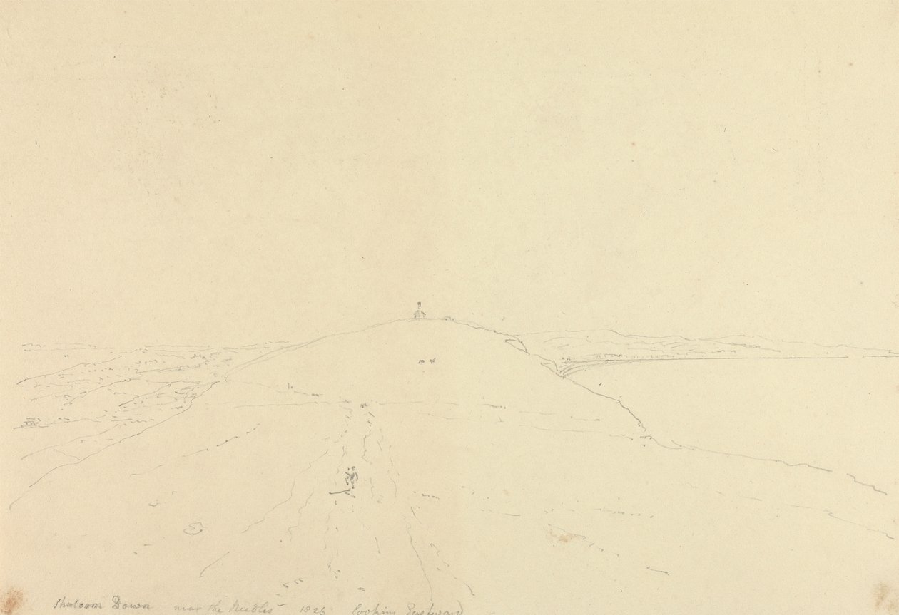 Shalcombe Down perto das Agulhas, Olhando para Leste de Capt. Thomas Hastings