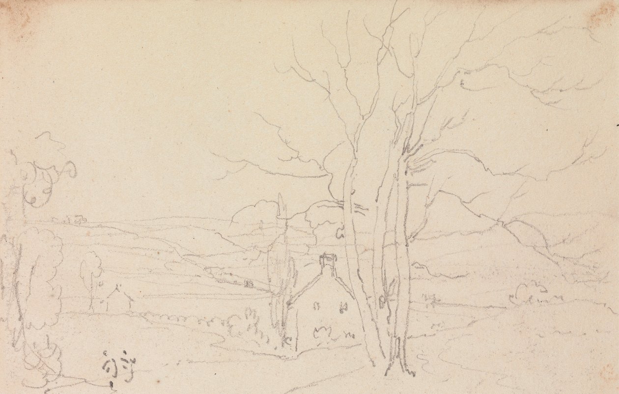 Esboço de uma grande árvore e de uma casa de campo de Capt. Thomas Hastings