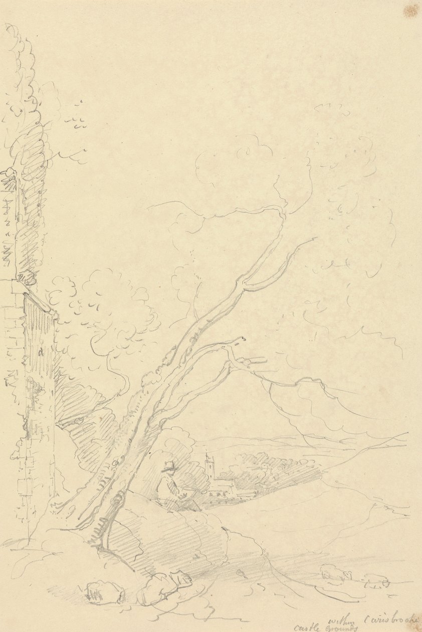 Dentro dos terrenos do Castelo de Carisbrooke, Isle of Wight de Capt. Thomas Hastings