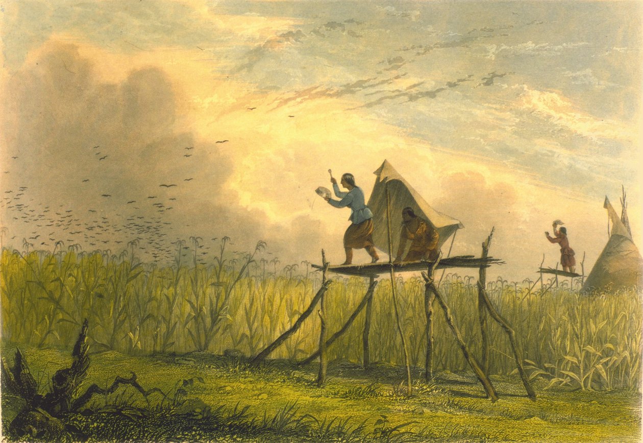 Guardando os campos de milho, 1853 de Captain Seth Eastman