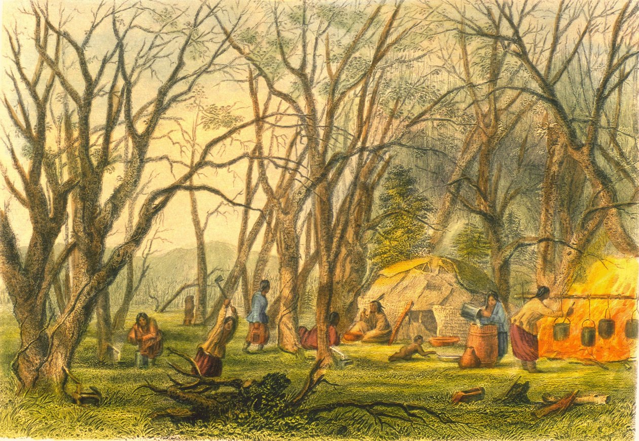 Indian Sugar Camp, 1853 de Captain Seth Eastman