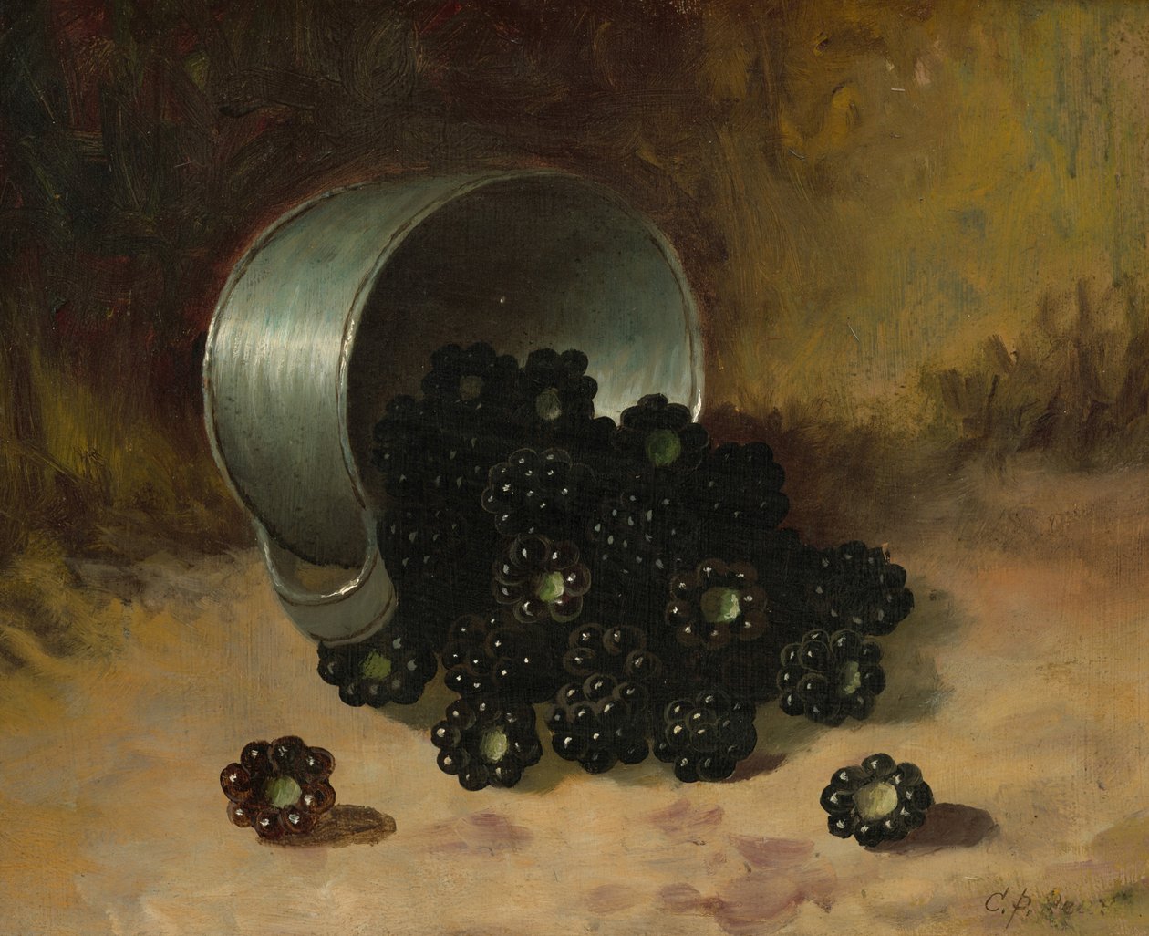 Amoras silvestres derramadas de uma chávena de lata, n.d. (óleo sobre cartão) de Carducius Plantagenet Ream