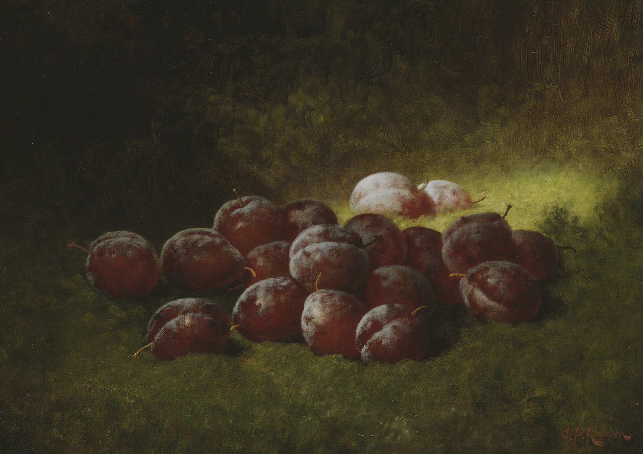 Ameixas Roxas, 1895 de Carducius Plantagenet Ream