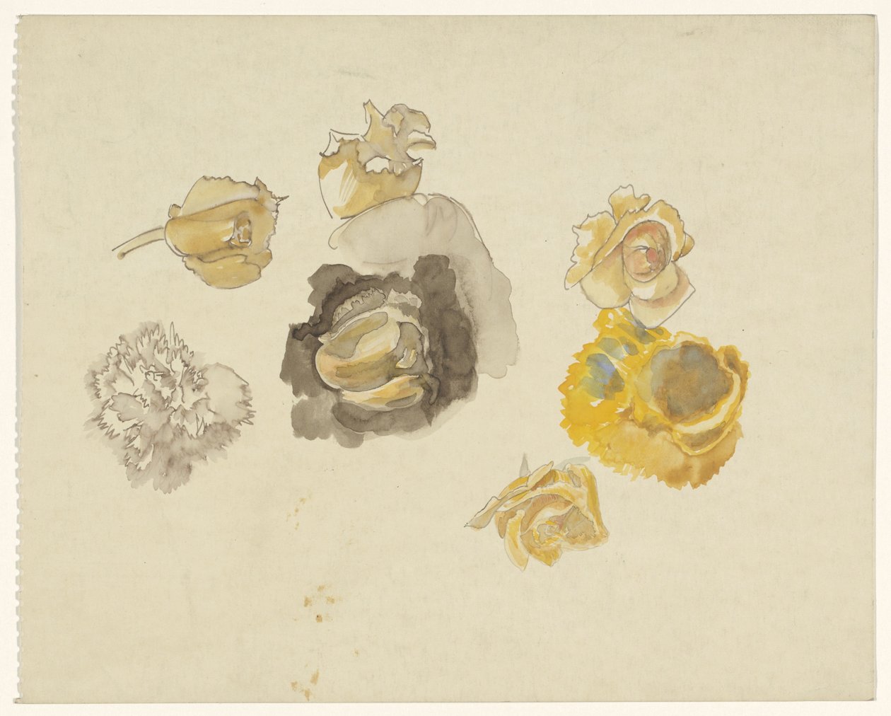 Estudos de flores em amarelo de Carel Adolph Lion Cachet