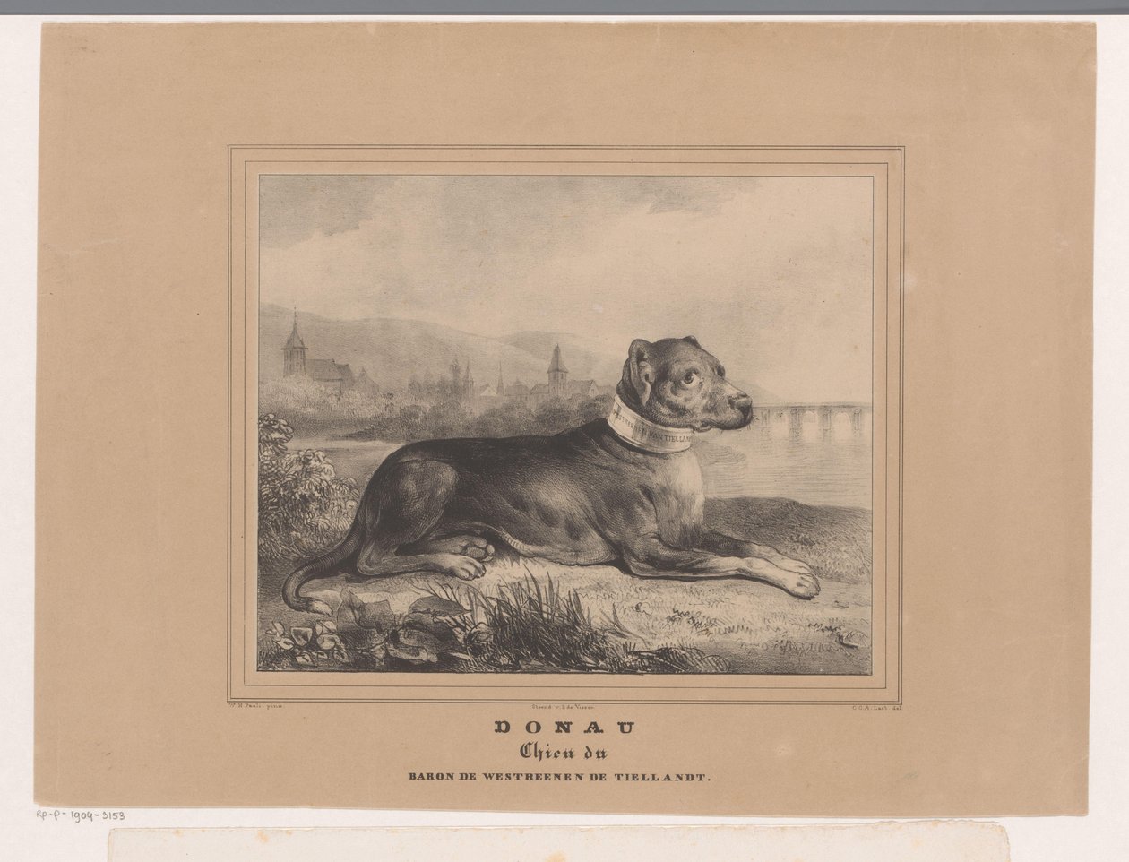 Cão Donau
Donau. Chien du Baron de Westreenen de Tiellandt (título sobre o objecto) de Carel Christiaan Antony Last
