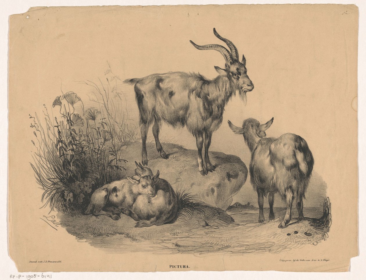 Quatro cabras Pictura (título da série no objeto) de Carel Christiaan Antony Last