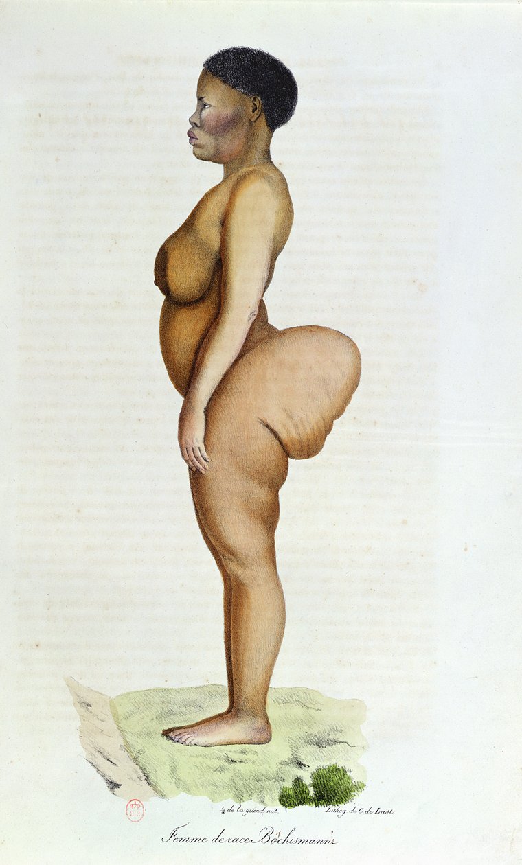 A Hottentot Venus, mulher bosquímano, de "A História Natural dos Mamíferos" por Etienne Geoffroy Saint-Hilaire (1772-1844) e Frederic Cuvier (1773-1838), 1824 de Carel Christian Anthony Last
