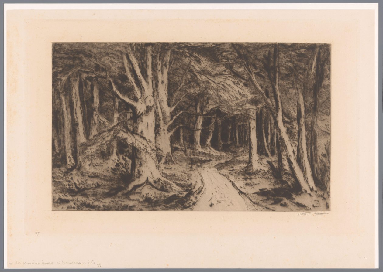 Bosrand conheceu bospad
Entrada da floresta (título original) de Carel Nicolaas Storm van 
