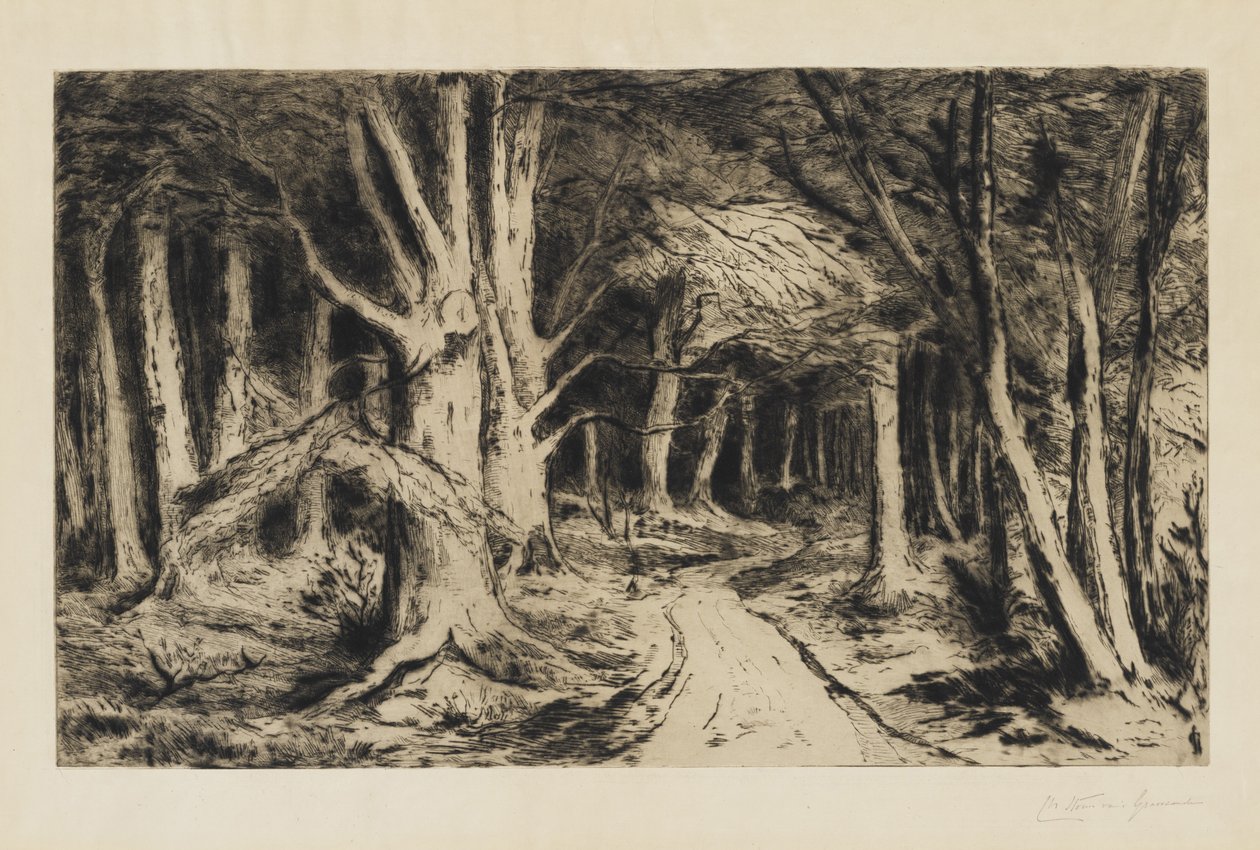 Caminho da floresta, c.1885 de Carel Nicolaas Storm van s Gravesande