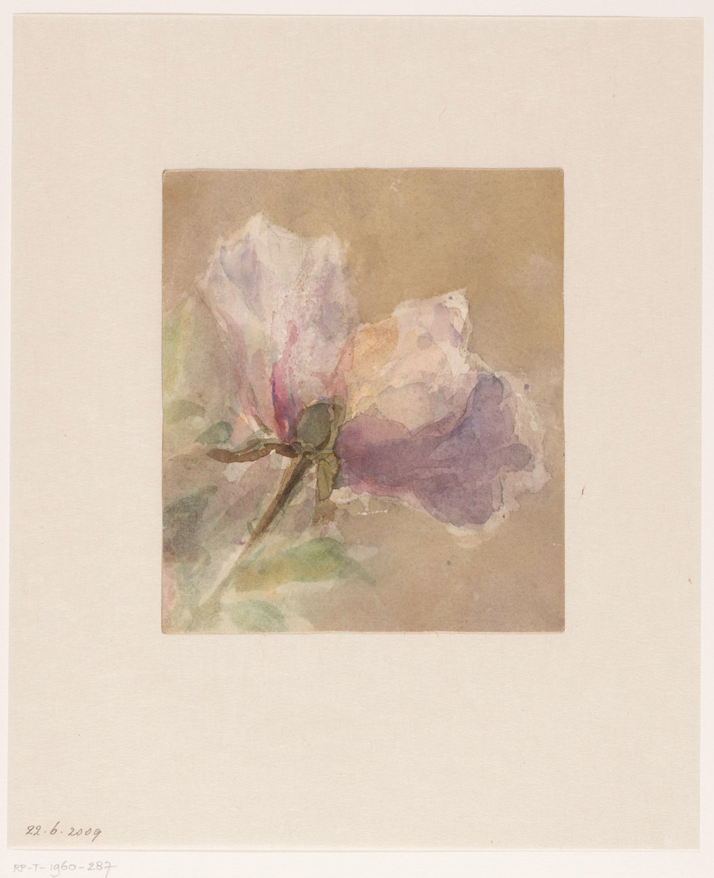 Rosa murcha de Carel Nicolaas Storm van 